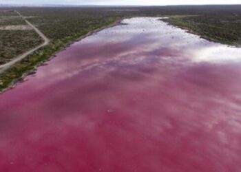 Alerta ambiental: menos del 10% de los residuos industriales se trata de manera adecuada