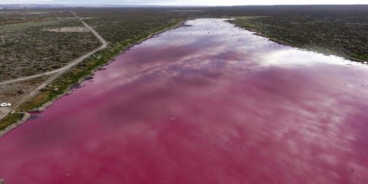 Alerta ambiental: menos del 10% de los residuos industriales se trata de manera adecuada