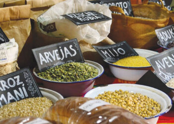 La comida y el alimento