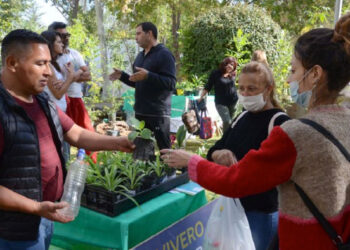 GAIA: el primer Festival Eco Sustentable