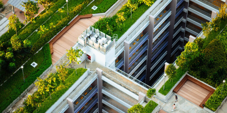 ¿Sabías qué… El techo de tu casa puede estar vivo?