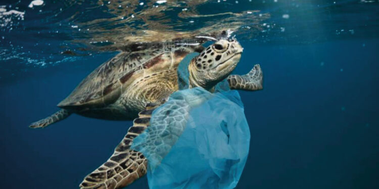Lluvia de plástico en todo el mundo