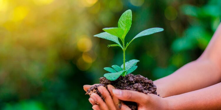 Miremos hacia abajo y rindamos homenaje al indiscutible y primordial sostén de toda vida