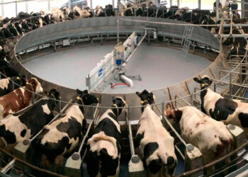 Ganadería intensiva, cambio climático y estrategias para mitigar el daño ambiental