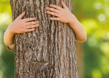 Son el presente y el futuro, y nuestro ejemplo, la mejor herramienta