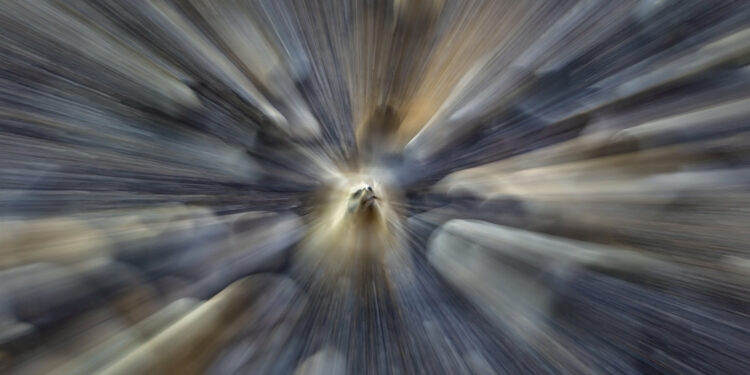 Golfo San Matías: la defensa ambientalista seguirá por vía judicial