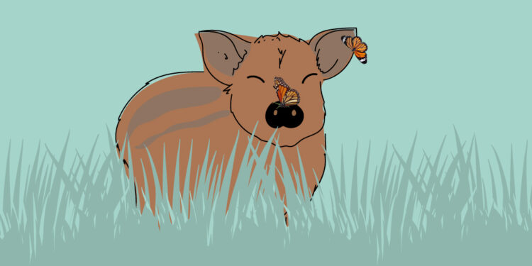 Jabalíes: ¿destructivos o conservacionistas?