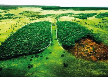 Somos lo que respiramos. Respiramos lo que hacemos