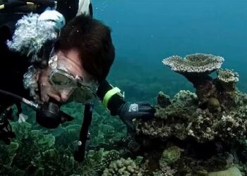 “Con los pies en la tierra”. Corazón y ganas, que no es poco.