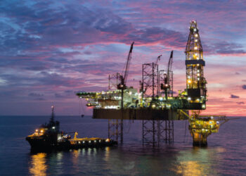 Combustible offshore, un riesgo para la biodiversidad marina