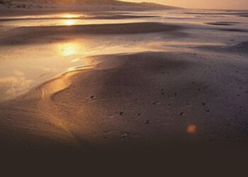 De la granja alemana inundada a la Cuenca Matanza-Riachuelo: ¿cuánto se cumple el derecho a vivir en un ambiente sano?