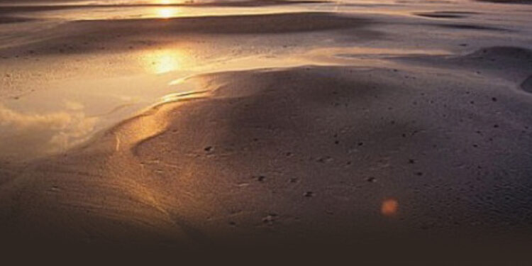 De la granja alemana inundada a la Cuenca Matanza-Riachuelo: ¿cuánto se cumple el derecho a vivir en un ambiente sano?