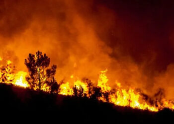 Desastre ambiental en Tierra del Fuego