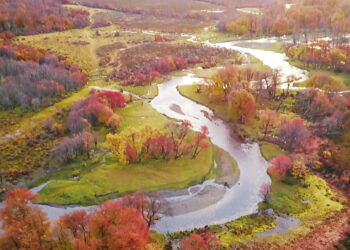 La Península Mitre fue declarada área natural protegida