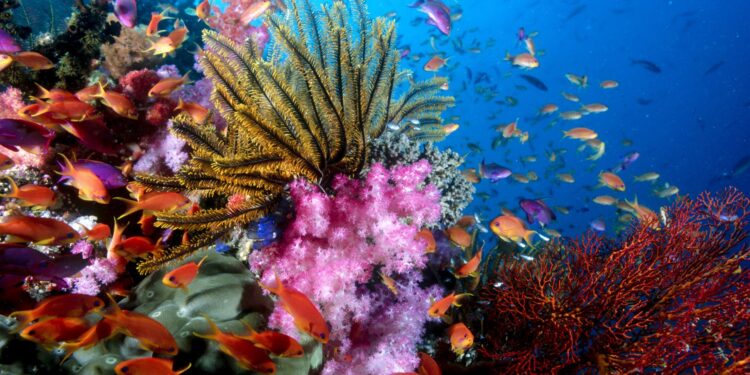 El espectáculo de la naturaleza