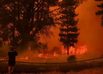 Catástrofe ambiental: incendios forestales sin control