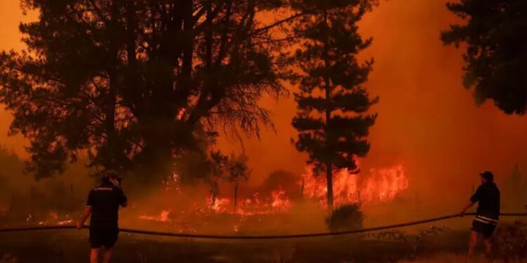 Catástrofe ambiental: incendios forestales sin control