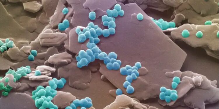 De microplásticos contaminantes a recursos útiles