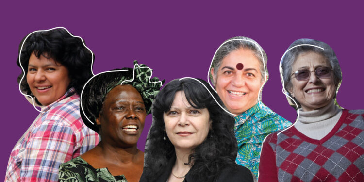 Ecofeministas del sur global