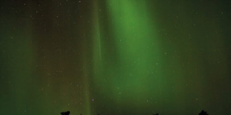 Un manifiesto para amar la oscuridad