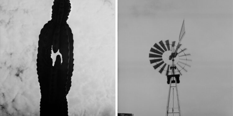 Un fotógrafo argentino entre los ganadores de los premios Sony World Photography
