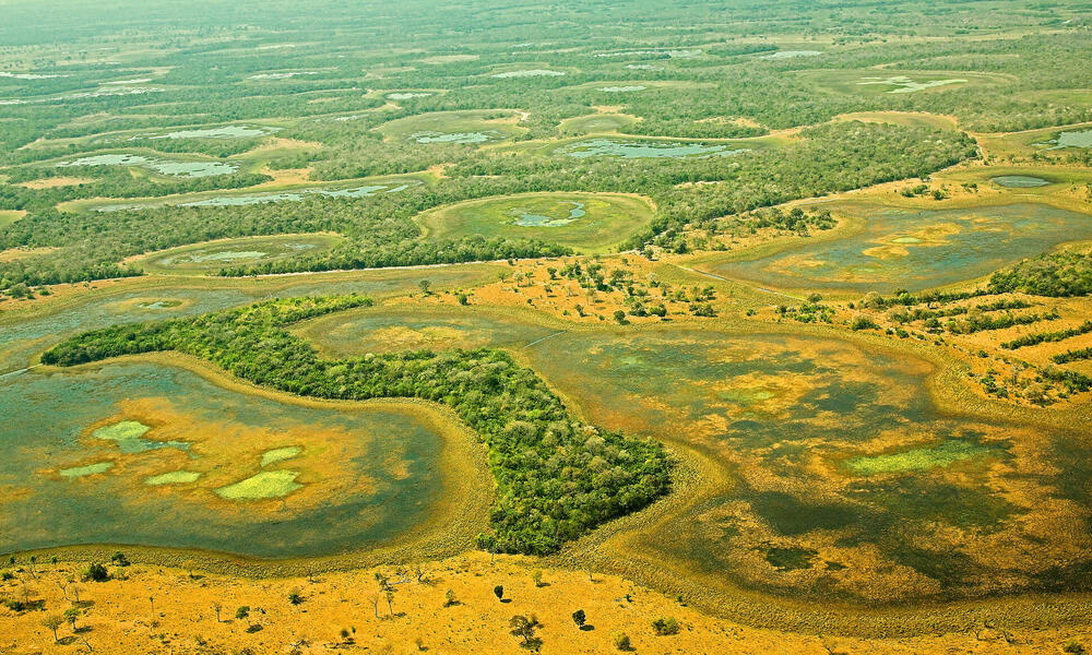 Cada Vez Hay Menos Agua En El Gran Pantanal De Latinoam rica Qi Argentina Cada Vez Hay Menos Agua En El Gran Pantanal De Latinoam rica Qi Argentina