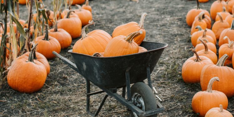 Agroecología a gran escala: una esperanza para el “granero del mundo”