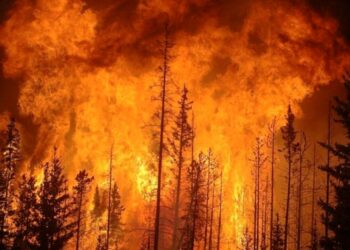 Canadá se calienta más rápido  que el resto del planeta