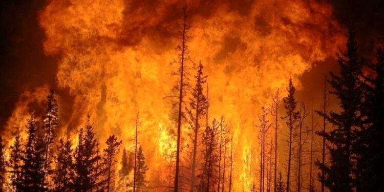 Canadá se calienta más rápido que el resto del planeta