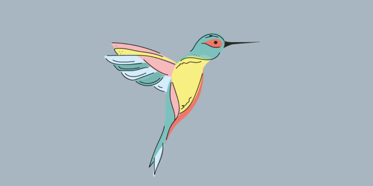 Leyenda del colibrí, ¿la conocés?