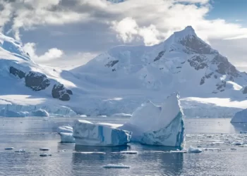 Alerta mundial: la Antártida perdió una superficie de hielo del tamaño de la Argentina