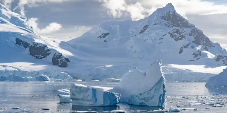 Alerta mundial: la Antártida perdió una superficie de hielo del tamaño de la Argentina