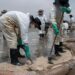 Cómo el pelo contribuye a descontaminar los océanos