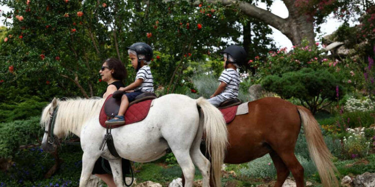 París prohibirá los paseos en poni para niños