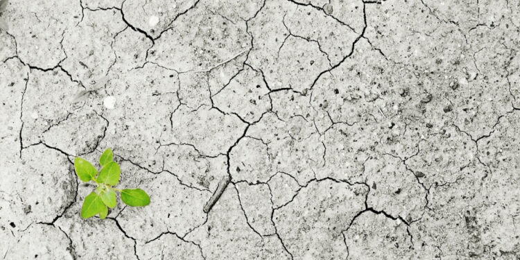 La COP28 debe sentar las bases para una acción inmediata