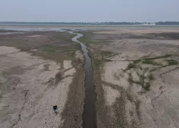 El río Amazonas registra su nivel más bajo desde que se lleva registro