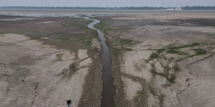 El río Amazonas registra su nivel más bajo desde que se lleva registro