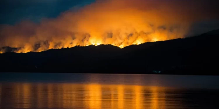 Parque Nacional los Alerces: el fuego sigue activo y ya quemó más de 1000 hectáreas de bosque nativo