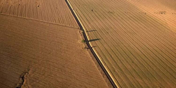 La justicia avala la derogación de la Ley de Tierras