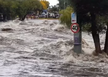 ¿Es cambio climático?