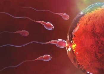 ¿El cambio climático afecta la fertilidad?