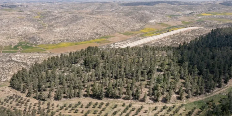 China convirtió un desierto en un oasis gigante