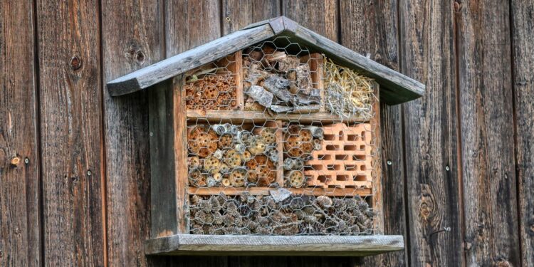 Hoteles para abejas: una tendencia que crece para protegerlas