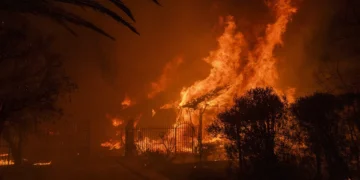 El Apocalipsis verde